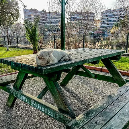 Luxury 7min Walk To Kestel * Алания